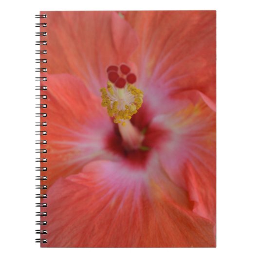 Oranje Hibiscus Notitieboek (Voorkant)