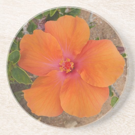 Oranje Hibiscus onderzetter (Voorkant)