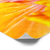 Oranje Hibiscus Poster (Hoek)