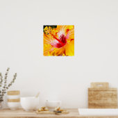 Oranje Hibiscus Poster (Keuken)