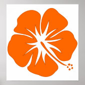 Oranje Hibiscus Poster (Voorkant)