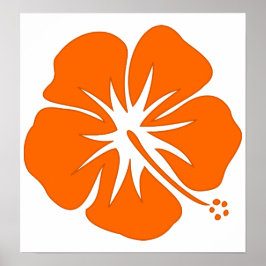 Oranje Hibiscus Poster