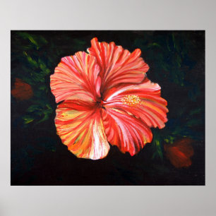 Oranje Hibiscus Poster