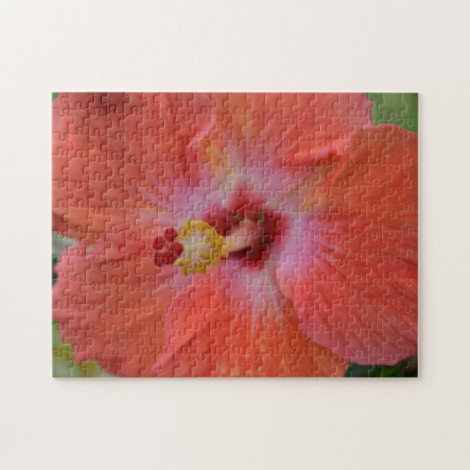 Oranje Hibiscus Puzzel (Horizontaal)