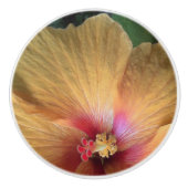 Oranje Hibiscus Ruffle Keramische Knop (Voorkant)