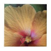 Oranje Hibiscus Ruffle Tegeltje (Voorkant)