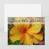 Oranje Hibiscus * Save the Date Aankondigingskaart (Voorkant / Achterkant)