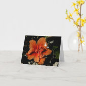 Oranje Hibiscus Shadow Fairy Kaart (Gele Bloem)