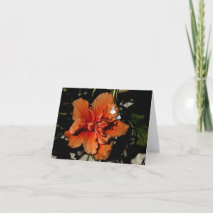 Oranje Hibiscus Shadow Fairy Kaart