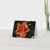 Oranje Hibiscus Shadow Fairy Kaart (Voorkant)