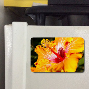 Oranje Hibiscus Side Uitzicht Magneet