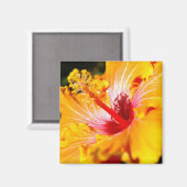 Oranje Hibiscus Side Uitzicht Magneet (Voorkant / Achterkant)