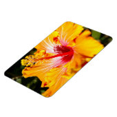 Oranje Hibiscus Side Uitzicht Magneet (Linkerzijde)