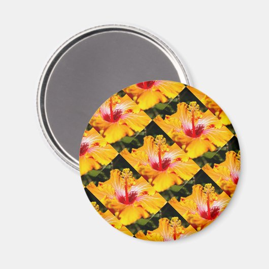 Oranje Hibiscus Side Uitzicht Magneet (Voorkant / Achterkant)