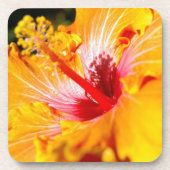 Oranje Hibiscus Side Uitzicht Onderzetter (Voorkant)