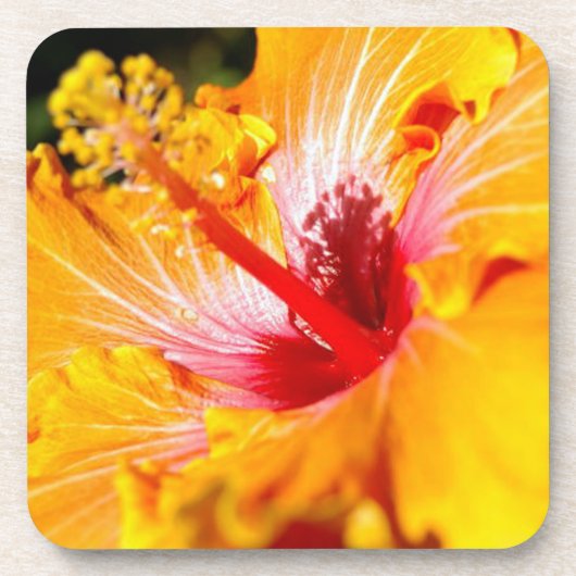 Oranje Hibiscus Side Uitzicht Onderzetter (Voorkant)