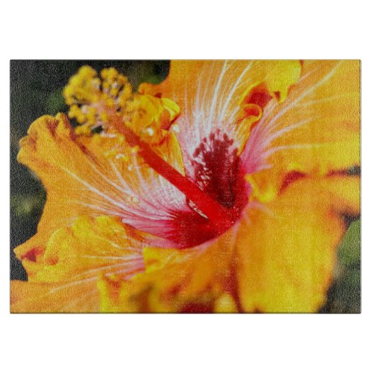 Oranje Hibiscus Side Uitzicht Snijplank (Voorkant)