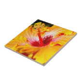 Oranje Hibiscus Side Uitzicht Tegeltje (Zijkant)