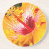 Oranje Hibiscus Side Uitzicht Zandsteen Onderzetter (Voorkant)