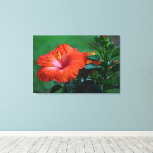 Oranje Hibiscus Stretched Canvas afdrukken (Insitu (Houten vloer))