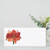 Oranje Hippeastrum Amaryllis (Staand voorkant)