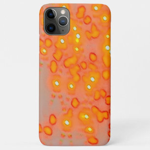 Oranje Hoesje