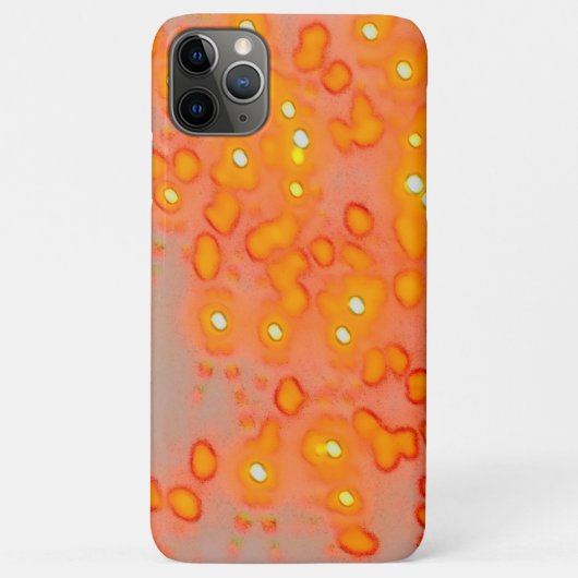 Oranje Hoesje (Achterkant)