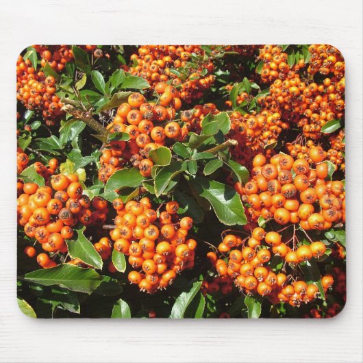 Oranje Holly Berries Muismat (Voorkant)