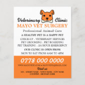 Oranje hond, dierenarts, veterinaire dienst flyer (Voorkant)