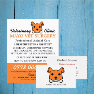 Oranje hond, dierenarts, veterinaire dienst flyer