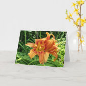 Oranje horizontale dagbloemen kaart (Gele Bloem)