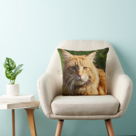 Oranje House Cat Kussen