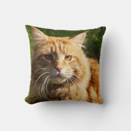 Oranje House Cat Kussen