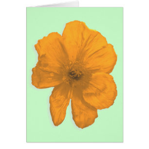 Oranje hulp/PopArt Flower