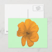 Oranje hulp/PopArt Flower Briefkaart (Voorkant / Achterkant)
