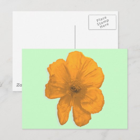 Oranje hulp/PopArt Flower Briefkaart (Voorkant / Achterkant)