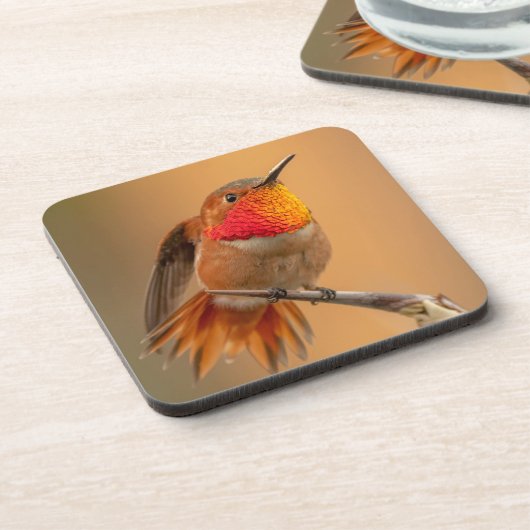 Oranje Hummingbird & Ruffled Feathers Bier Onderzetter (Linkerzijde)