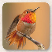 Oranje Hummingbird & Ruffled Feathers Bier Onderzetter (Voorkant)