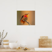 Oranje Hummingbird & Ruffled Feathers Poster (Keuken)