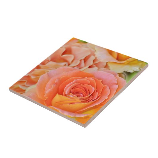 Oranje hybride thee-roos tegeltje (Zijkant)