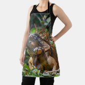 Oranje Iguana, Belize Lizard Schort (Insitu)