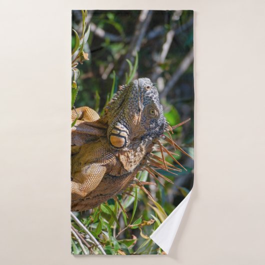 Oranje Iguana, Belize Photography Bad Handdoek (Badhanddoek)