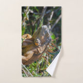 Oranje Iguana, Belize Photography Bad Handdoek (Handdoek)