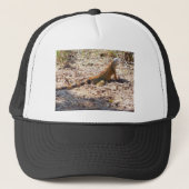 Oranje Iguana hunts Trucker Pet (Voorkant)