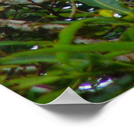 Oranje Iguana Poster (Hoek)