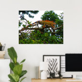 Oranje Iguana Poster (Thuiskantoor)