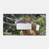 Oranje Iguana, wilde dieren Fotografie Bureaumat (Keyboard & Muis)