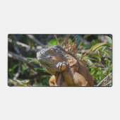 Oranje Iguana, wilde dieren Fotografie Bureaumat (Voorkant)