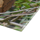 Oranje Iguana, wilde dieren Fotografie Snijplank (Hoek)