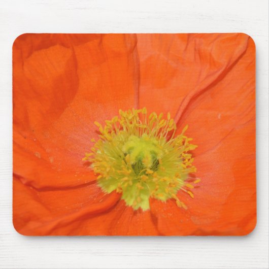Oranje IJsland Poppy III Muismat (Voorkant)